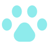 Icon paw