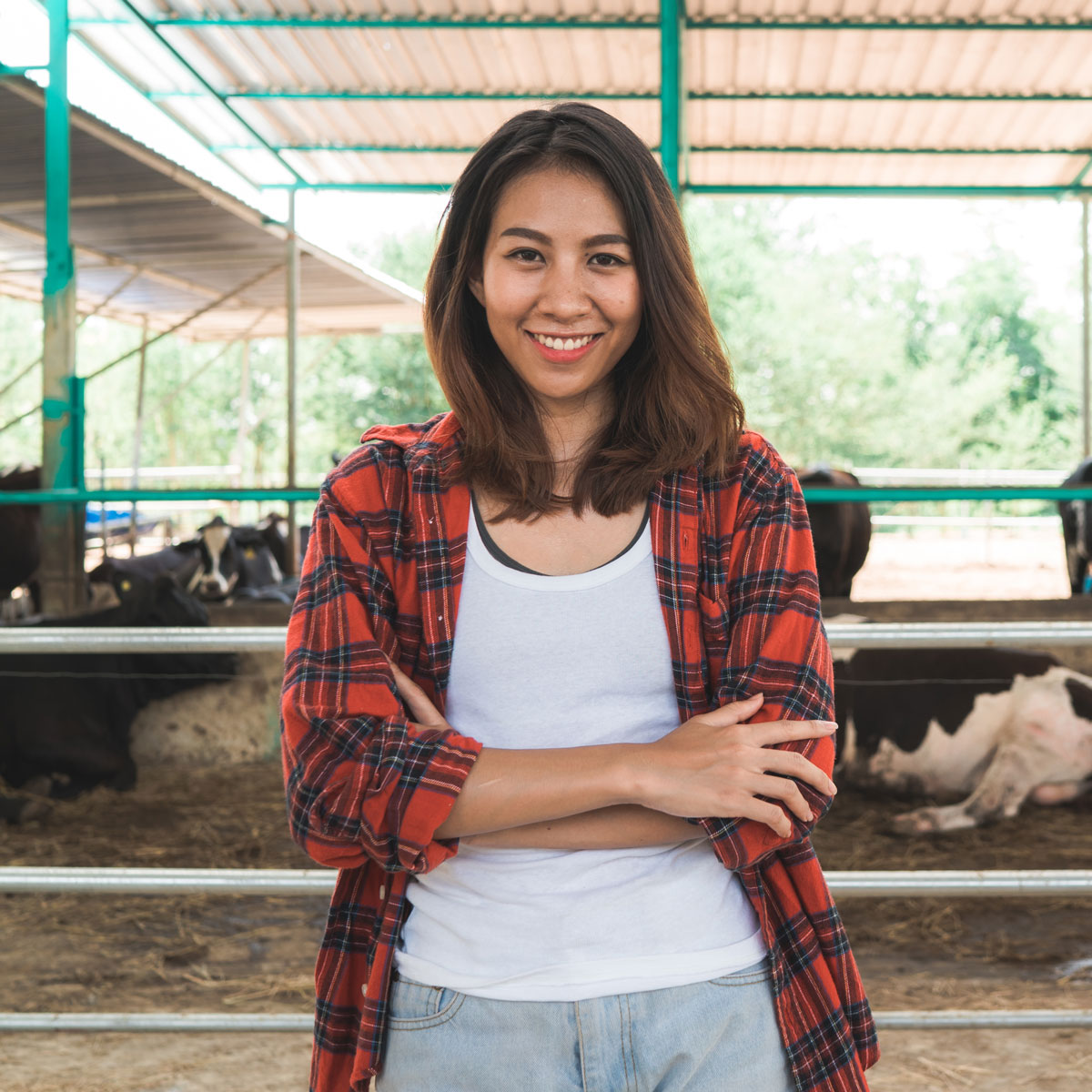woman-or-farmer-with-and-cows-in-cowshed-on-dairy-2021-09-02-10-34-57-utc.jpg